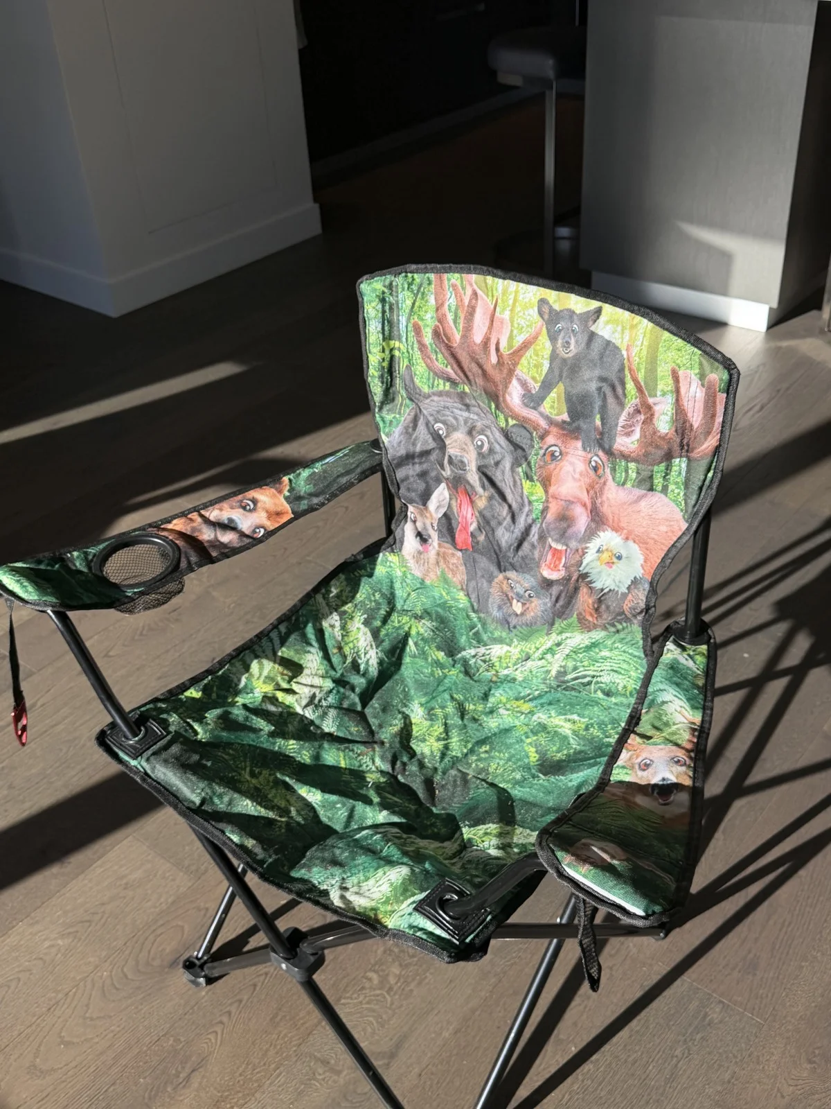 Folding Camp Chair actual photo