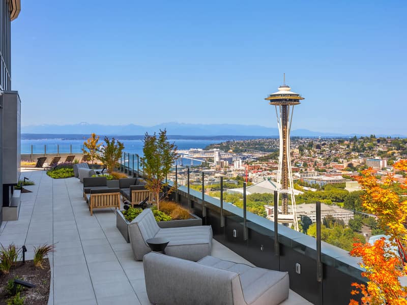 Rooftop terrace with city views by day